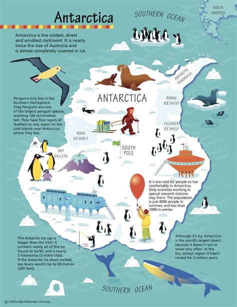 Childrens Antarctica Wall Map By Collins Shop Mapworld