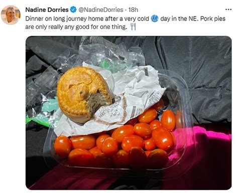 nadine dorries settles scores on twitter again and pokes fun at pork pie plotters daily mail