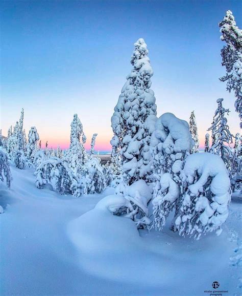 🇫🇮 Magical Winter Landscape Lapland Finland By Giovanettoni