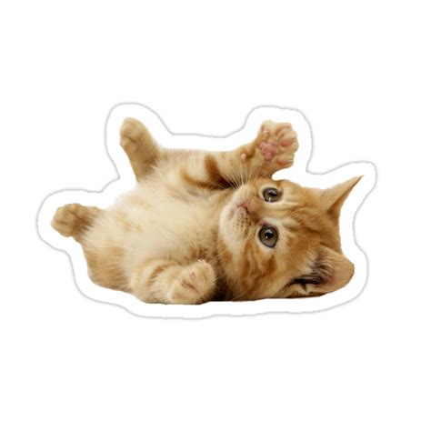 Cat Stickers By Thedreamerswin Redbubble