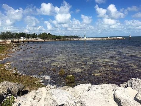 Take a tour of the harry harris park, united states and relax at the beach. Harry Harris Park (Tavernier) - All You Need to Know ...