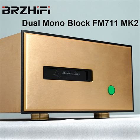 Brzhifi Audio Refer To Famous Swiss Fm Mk High Power Amplifier Dual