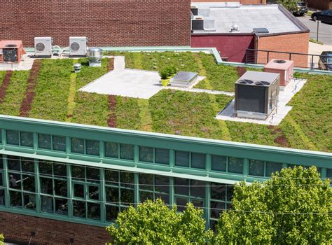 Two Advantages Of Having A Green Roof Heram Decor