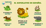 Cómo Formar el Superlativo en Español: Ejemplos y Ejercicios ...