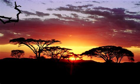 5 Must See Places In Africa Holiday Bug