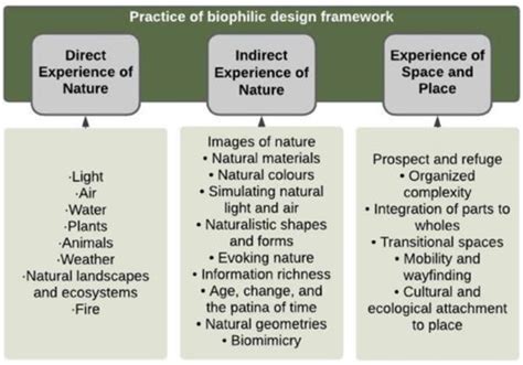 Practice Of Biophilic Design Framework Adapted From Ellert And