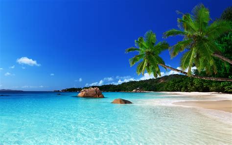 Tropical Island Full Hd Wallpaper And Background Image