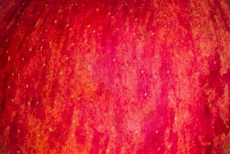 Tekstur Apel Merah Foto Stok Unduh Gambar Sekarang Apel Bertekstur