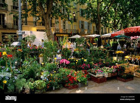 Aix En Provence France Outdoor Flower Market Stock Photo Alamy