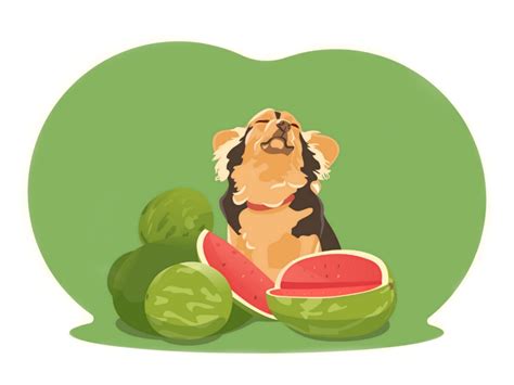 A Dog With A Watermelons By Tatiana On Dribbble