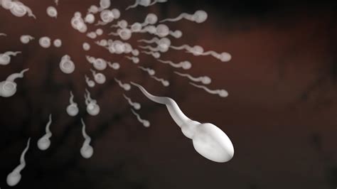 Men Seeing Drastic Drop In Sperm Count Study Claims