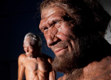 Neanderthals Overlapped With Modern Humans For Up To 5400 Years