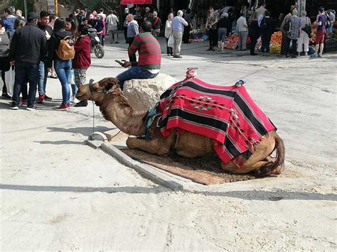 Check spelling or type a new query. Holy Land Pilgrimage Day Three - The Cathedral Church of ...