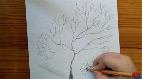 Cum să desenezi un copac Tutorial de desen YouTube