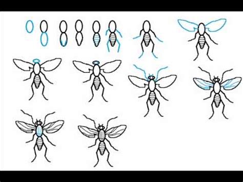Drawing a pair of scissors. How To Draw A Gnat Bug Step By Step Drawing Tutorial - YouTube