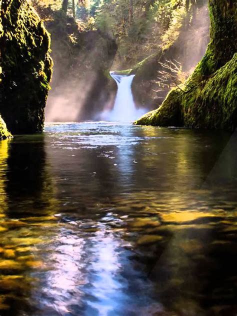 Free Download Live Animated Moving Waterfall 1920x1080