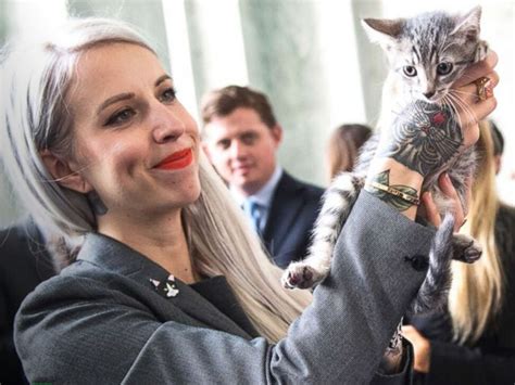 Watch Kitten Lady Joins Wcw To Shut Down Vas Taxpayer Funded Kitten Labs And Save Survivors