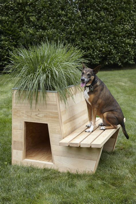 10 Architects Create Stylish Doghouses—for A Good Cause Cool Dog