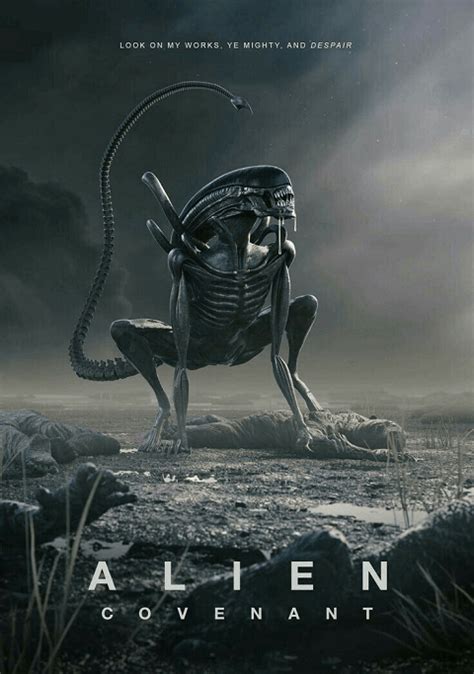 ดหนง Alien Covenant 2017 เอเลยน โคเวแนนท i MovieHD