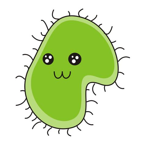 Bacteria Download Png Png All