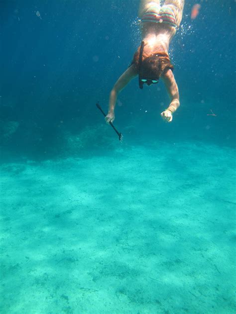 Snorkel Scuba And Free Diving Vol1 V Undwtr 0006a Porn Pic Eporner