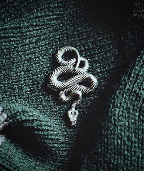 Pin By Lia Brooks On My Aesthetic Slytherin Aesthetic Slytherin