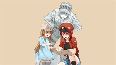 Cell At Work Anime Platelets