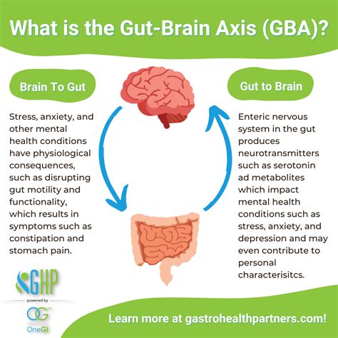 Gut Brain Axis Elevating Mental Well Being