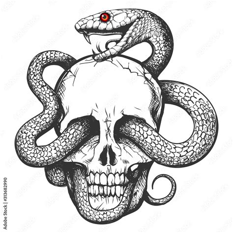 Skull With Snake Tattoo Stock Vector Adobe Stock