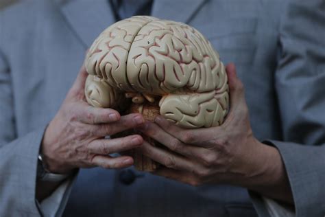 Alzheimers Disease Starts In Childhood With Symptoms Found In Babies