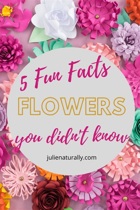 5 Fun Facts About Flowers For Kids Who Love Them Julie Naturally
