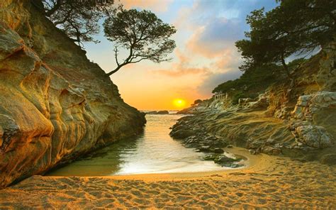 Nature Landscape Sunrise Beach Sand Trees Rock Coast Sea