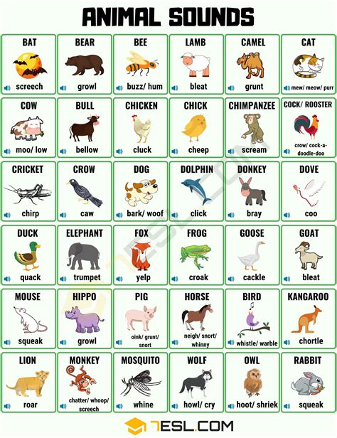 Animals Name List Pdf Images Zoo Animals