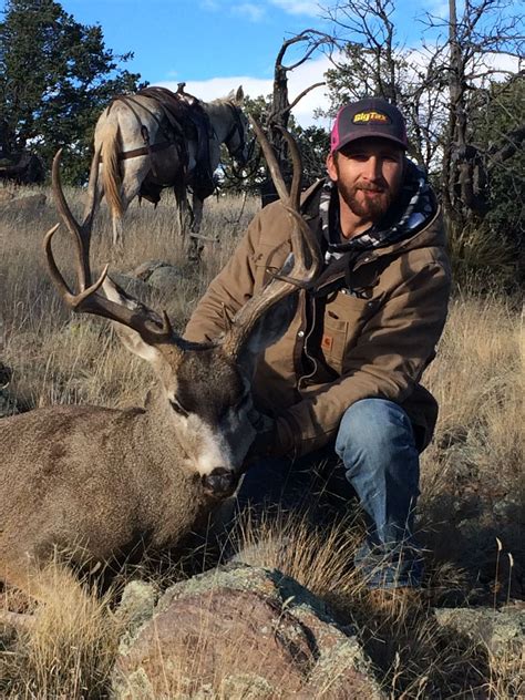 5 Day Mule Deer Hunt In New Mexico For 1 Hunter