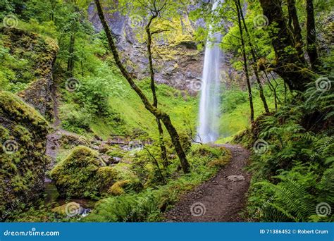 Elowah Falls Columbia Gorge Oregon Stock Photo Image Of Outdoors