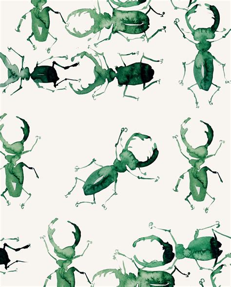 Omg So Fun So Wide So Green Bugs Wallpapers By Artist