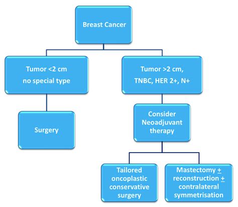 Jpm Free Full Text Neoadjuvant Chemotherapy In Breast Cancer An