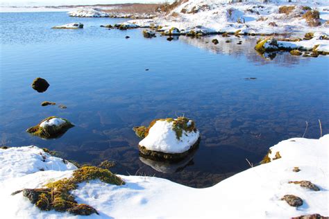 Free Images Sea Horizon Snow Winter Wood Shore Wave Lake Wind