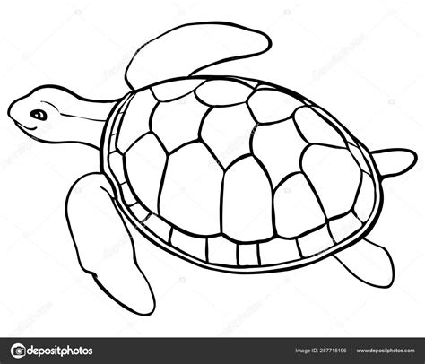 Contour Turtle Coloring Page For Kids Line Art Stock Vector Image By