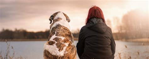 The vet will explain to you what. How To Help a Friend Grieving the Loss of a Pet After ...