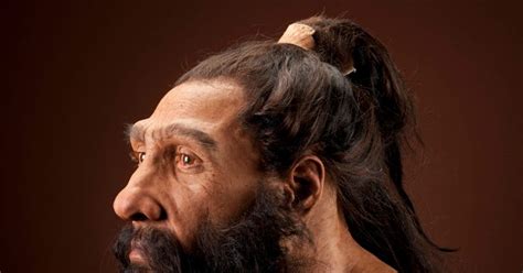 Neanderthal Genome Shows Most Humans Are Cavemen Wired