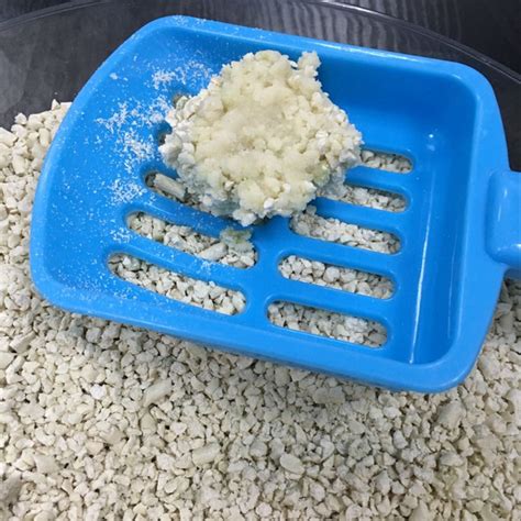 The tofu cat litter advantage. Tofu Cat Litter Manufacturers Irregular Soybean Litter ...