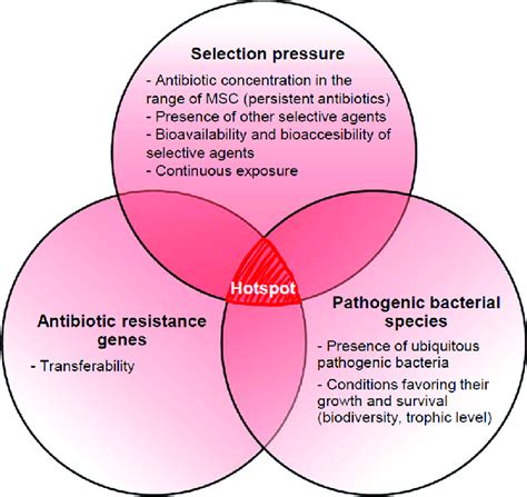 Environmental Conditions Favorable To The Transfer Of Antibiotic