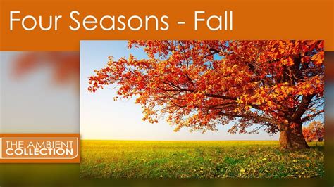 Nature Dvd Four Seasons Fall With Nature Sounds And