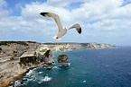 Küste von Ajaccio Foto & Bild | landschaft, natur Bilder auf fotocommunity