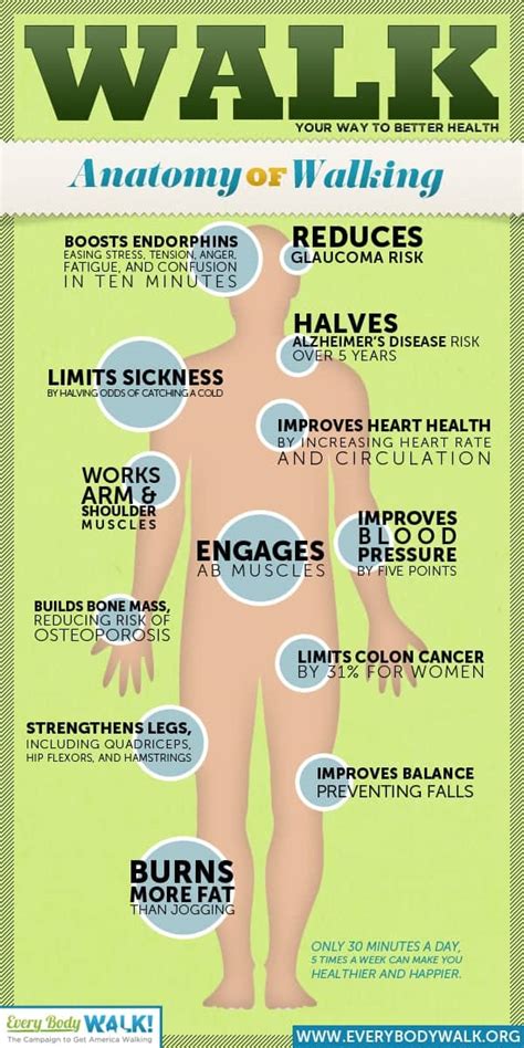 The Perks Of Walking Daily Infographic
