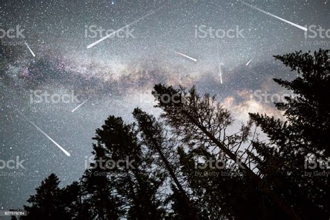 Pine Trees Silhouette Milky Way Falling Stars Stock Photo Download