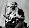 Folk-Sänger wurde 72 Jahre alt: Woodstock-Legende Richie Havens stirbt ...