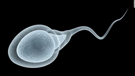 Mužská plodnosť Štúdia zistila že Covid 19 môže mať vplyv na spermie
