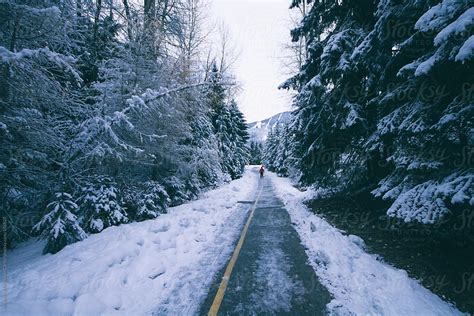 Path With Snow In Winter With Pine Trees And Mountains And A Person